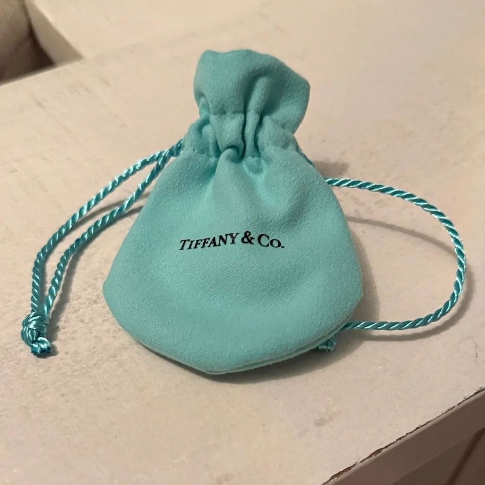 Tiffany & Co. Turquoise Jewelry Pouch - Picture 1 of 4
